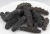 Dried Sea Cucumber